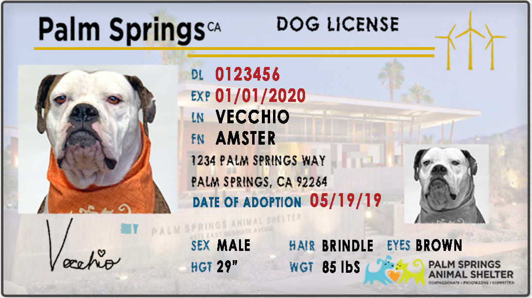 Dog Licensing Redirect - Palm Springs Animal Shelter